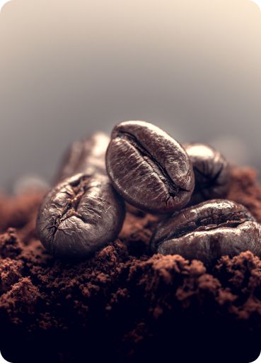 ��� ����� ��� ���� ����� ������� ��� ��� ���