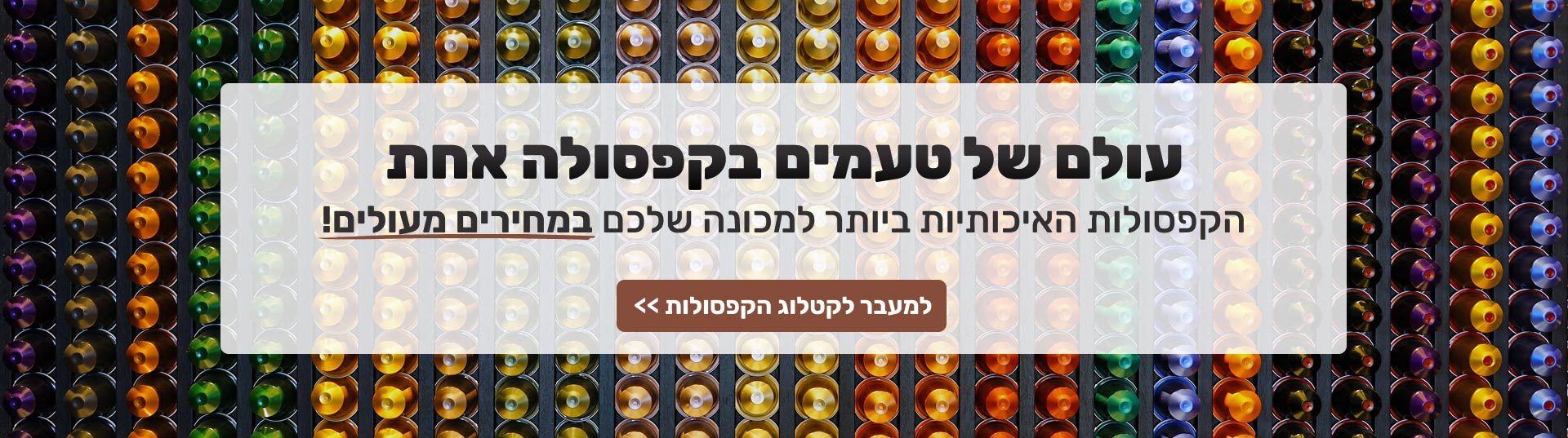 ������� ����